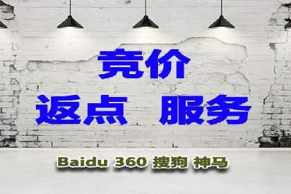 百度竞价代运营实战：某电商平台的销量翻倍秘诀